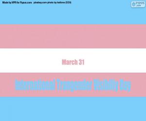 пазл Международный день трансгендерной видимости